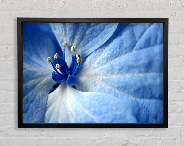 Weiche blaue Blume
