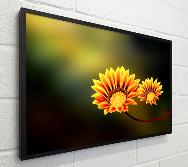Duo Fire Flowers