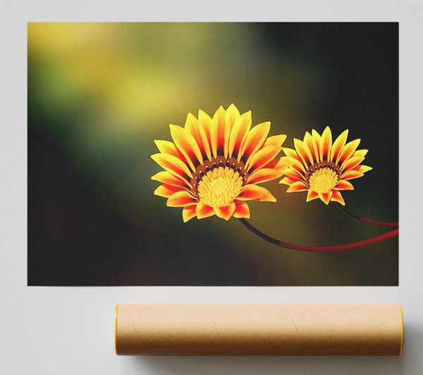 Duo Fire Flowers Print