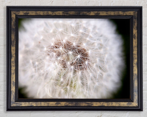 Make A Wish Framed Print