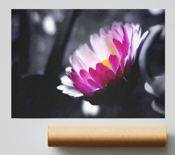 Pink Flower On Black And White Background Print