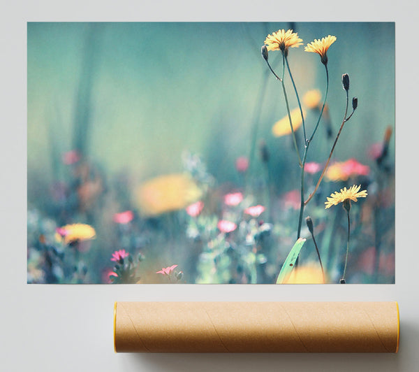 Dandelion Garden Poster