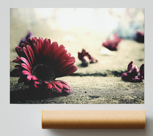 Missing Petals Poster