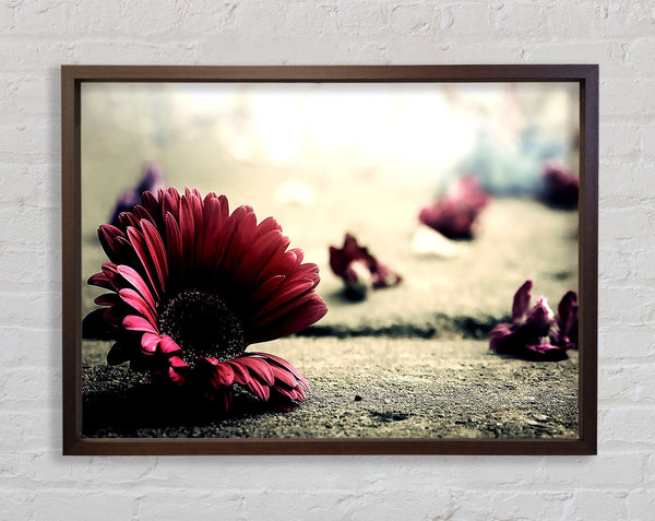 Fehlende Blütenblätter