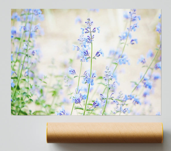 Blue Small Flowers Giclee Print