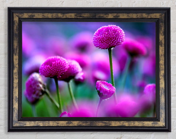 Remember Love Framed Print