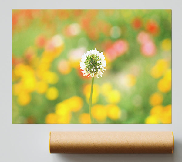 White Clover Giclee Print