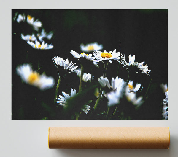 Grass And White Flowers Print