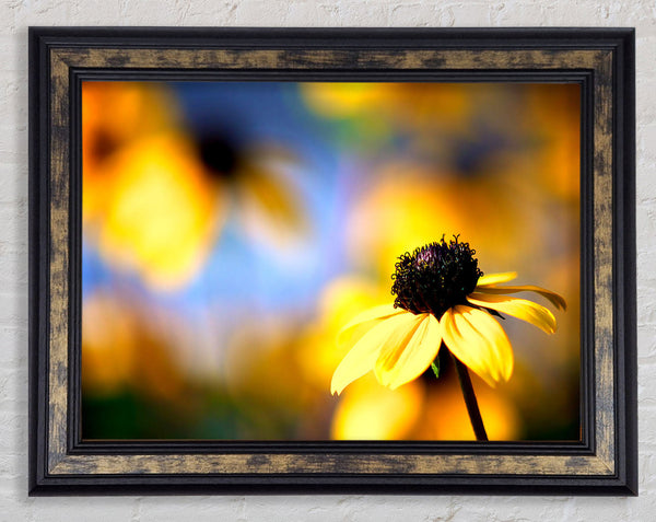 Cool Autumn Framed Print