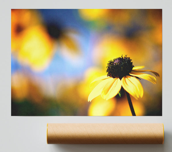Cool Autumn Poster