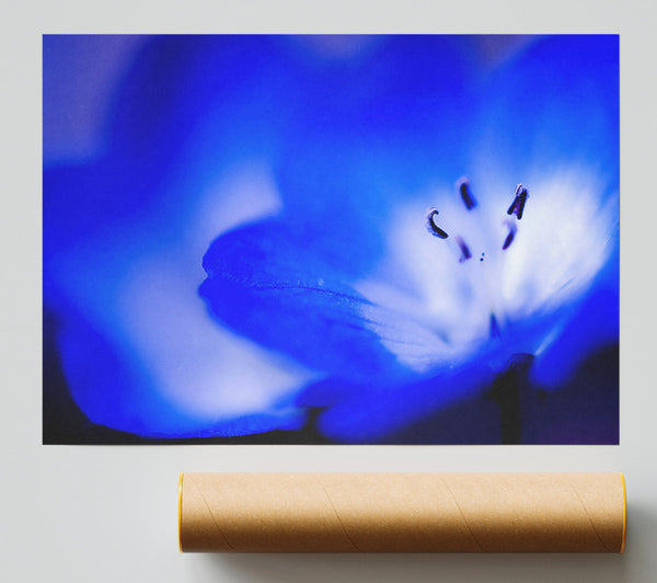 Electric Blue Giclee Print