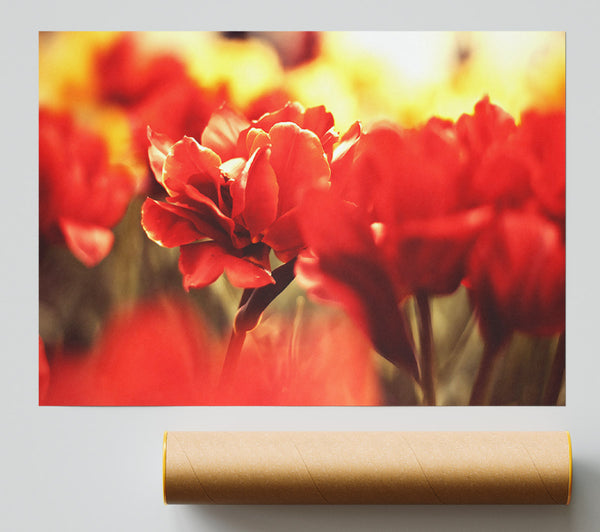 Beautiful Red Flowers Print