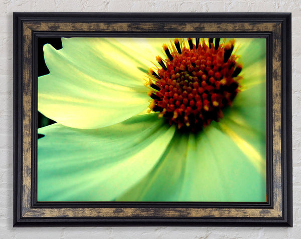 White Green Petals Framed Print