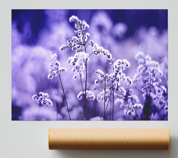 Motion Blur Poster