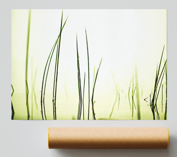Water Grass Print