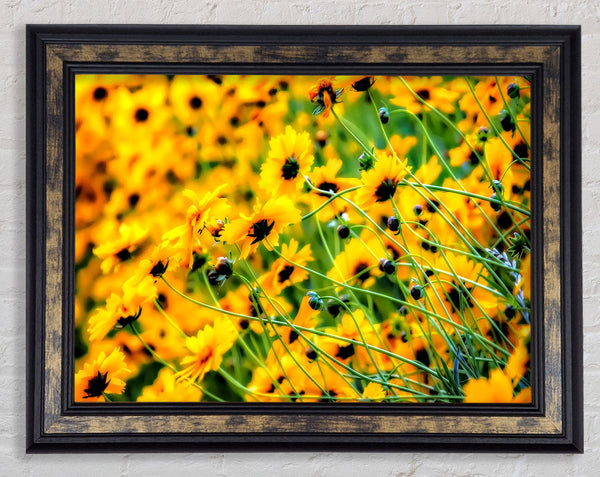 Very Yellow Framed Print
