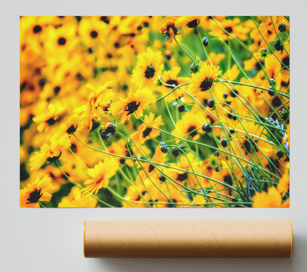 Very Yellow Giclee Print