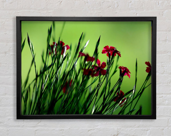 Kleine Feldblumen