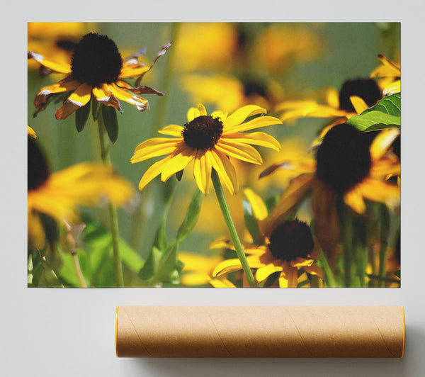 Yellow Flowers In The Garden Giclee Print