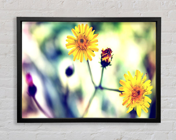 Weed Or Flower Framed Print