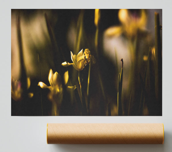 Withered Yellow Flowers Print