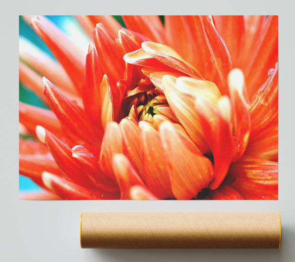 Orange Passion Giclee Print
