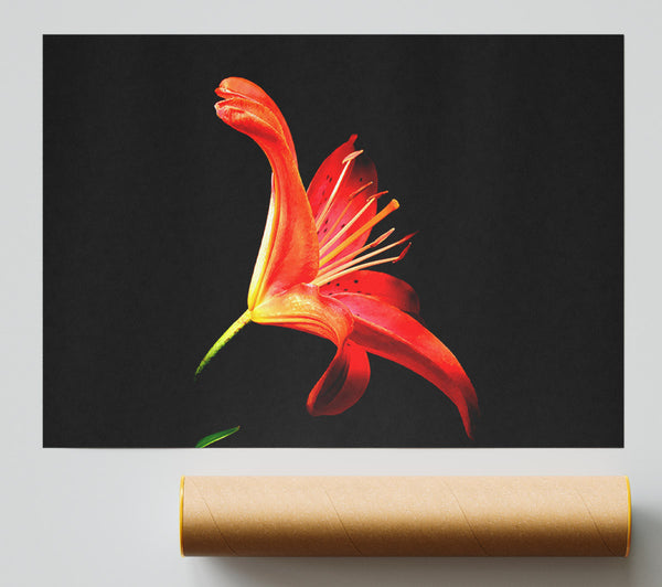 Flower In Space Giclee Print