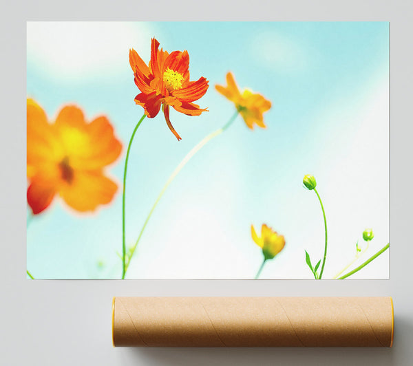 Perfect Flower Poster