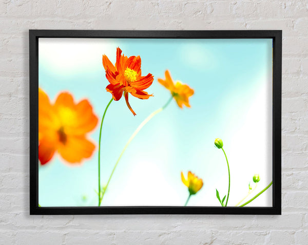 Perfekte Blume