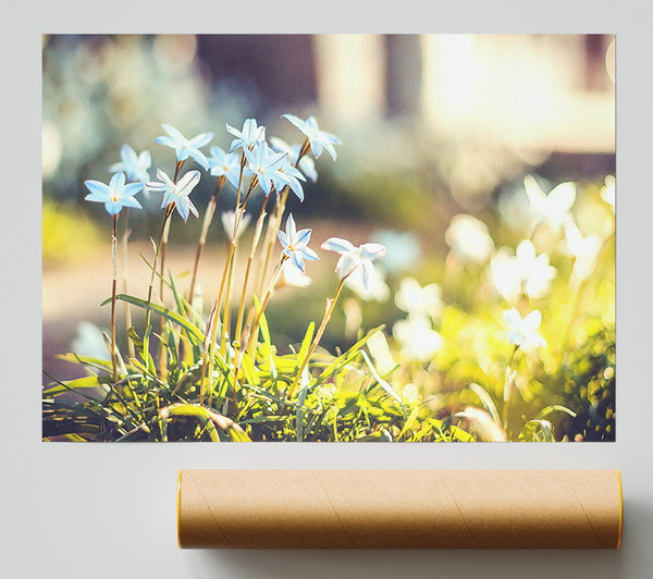 Soft Blue Garden Flowers Print