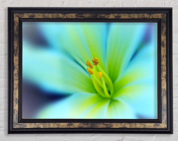 Dreamy Flower Framed Print