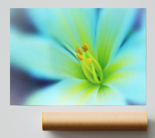 Dreamy Flower Print