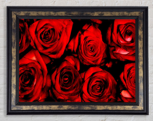 Reasons To Love Someone Framed Print