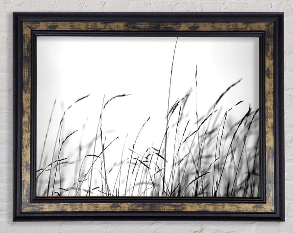 Little Shadow Framed Print