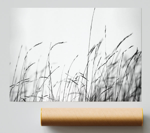 Little Shadow Giclee Print