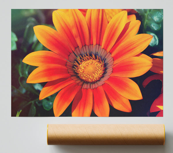 Spring Lover Poster