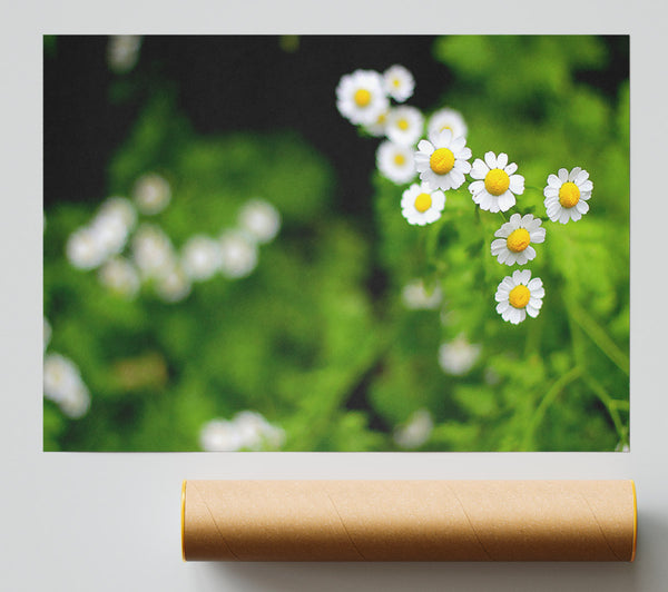 Floral Delight Giclee Print