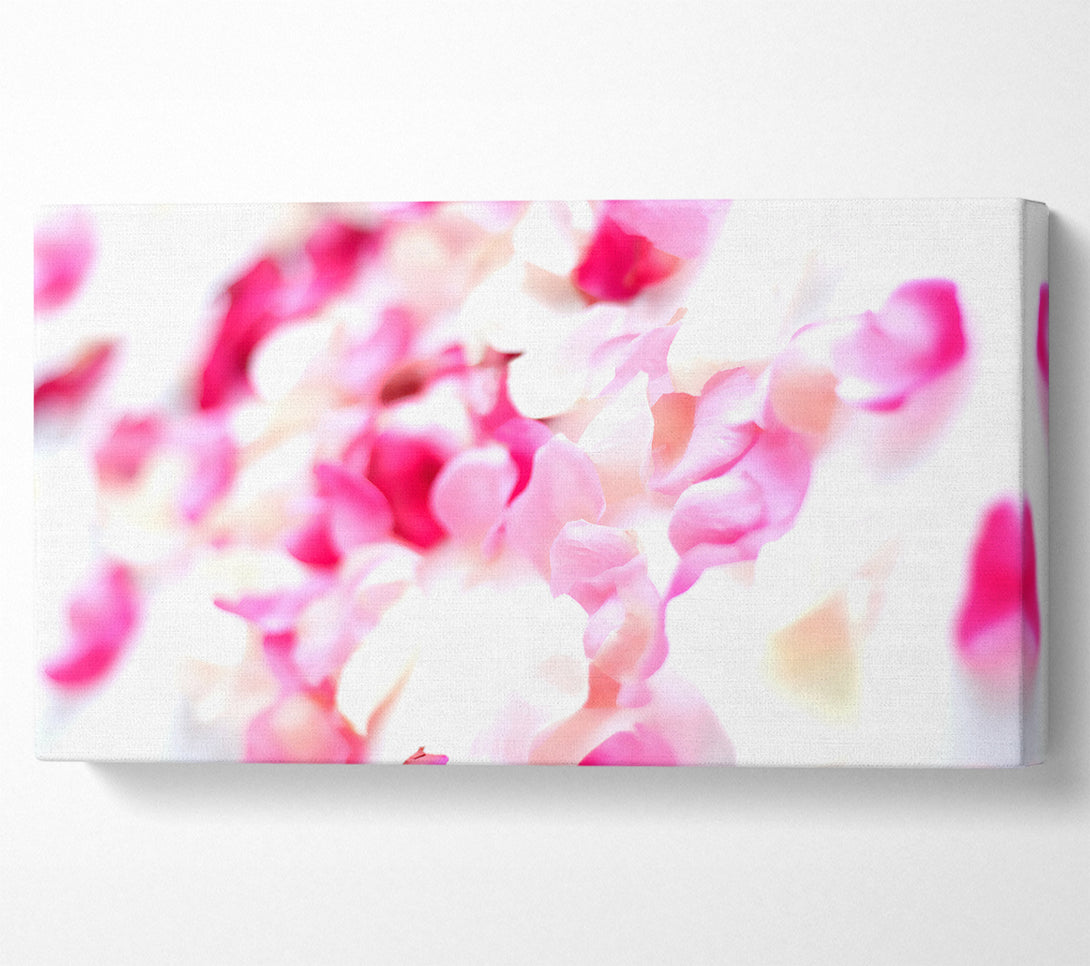  A Canvas Print of Pink Orchid Galour Canvas Print