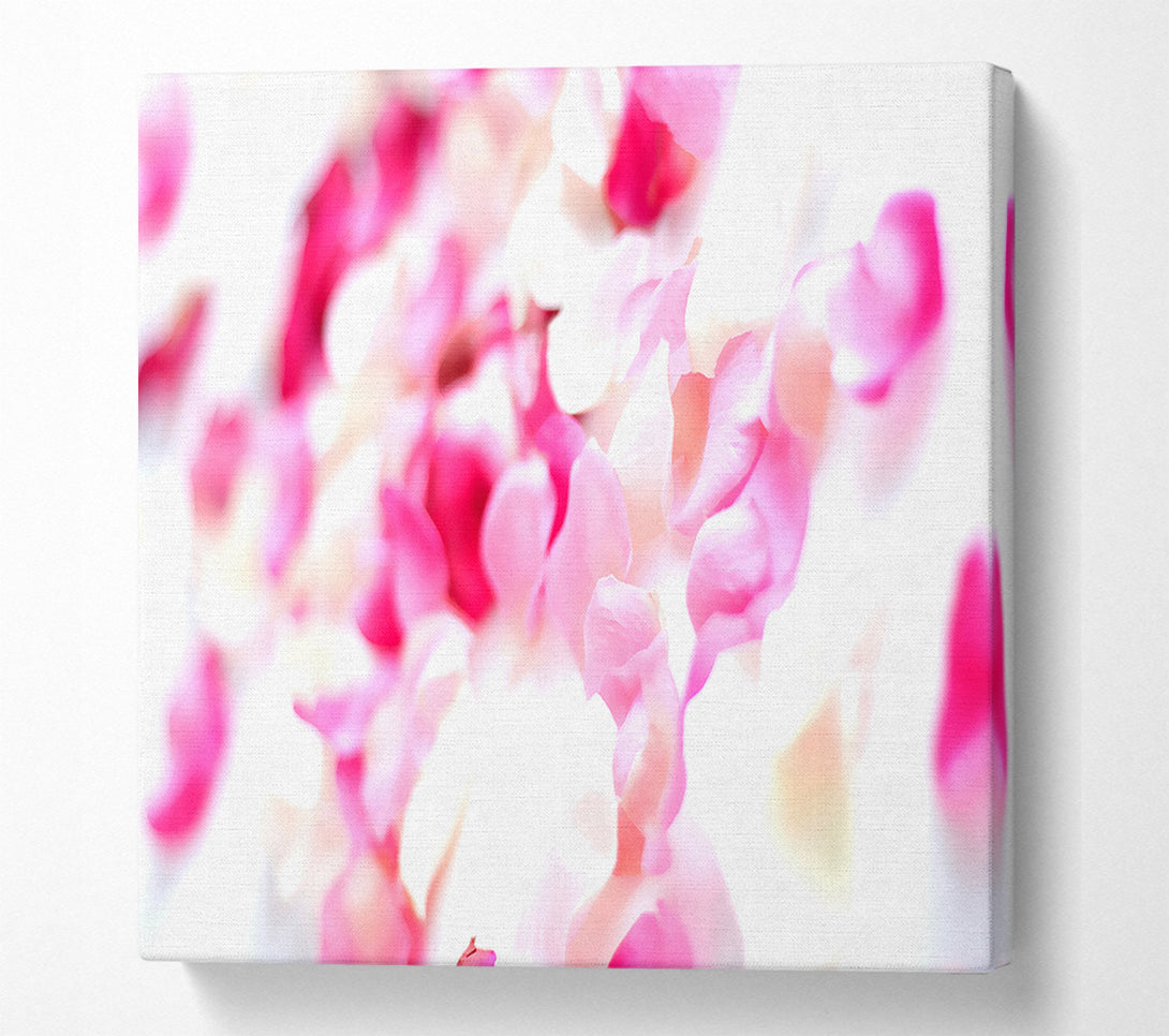  A Canvas Print of Pink Orchid Galour Canvas Print