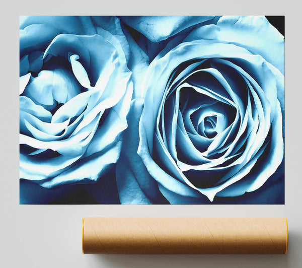 Twin Blue Roses Print