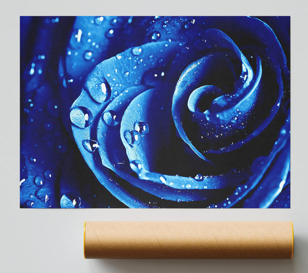 Wet Drops Blue Rose Giclee Print