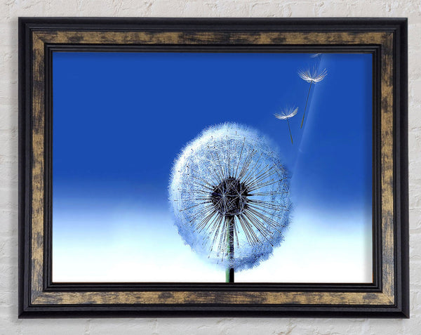 Wishes Going To Heaven Framed Print