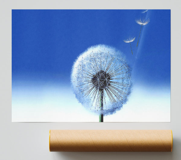 Wishes Going To Heaven Print