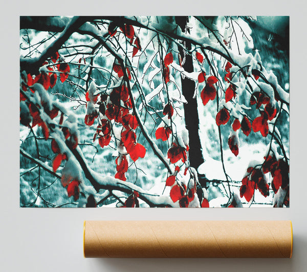 Snow Leaves Poster