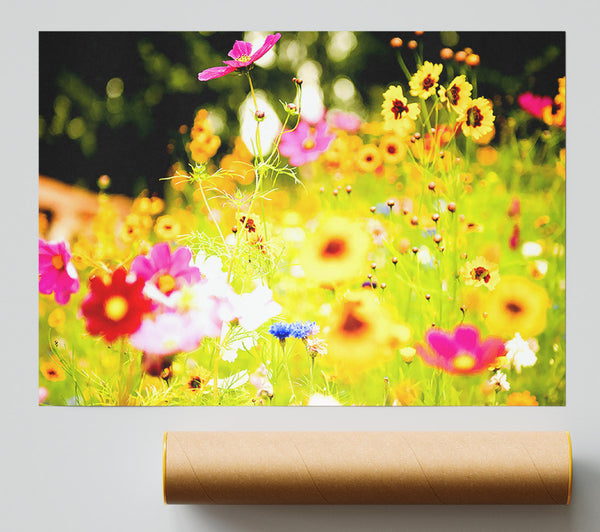 Vivid Wild Rainbow Flowers Print