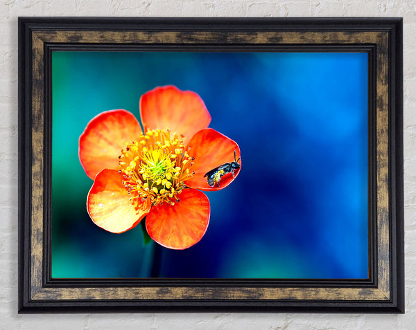 Pollen Overdose Framed Print