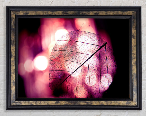 Sparkle Leaf Framed Print