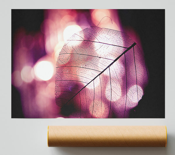 Sparkle Leaf Poster