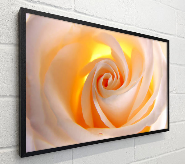 Soft Cream Yellow Rose
