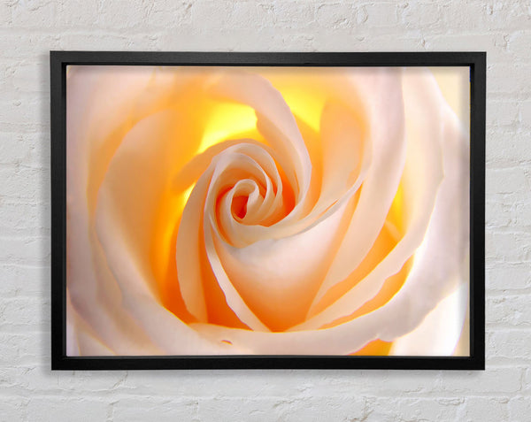 Zarte Creme, gelbe Rose